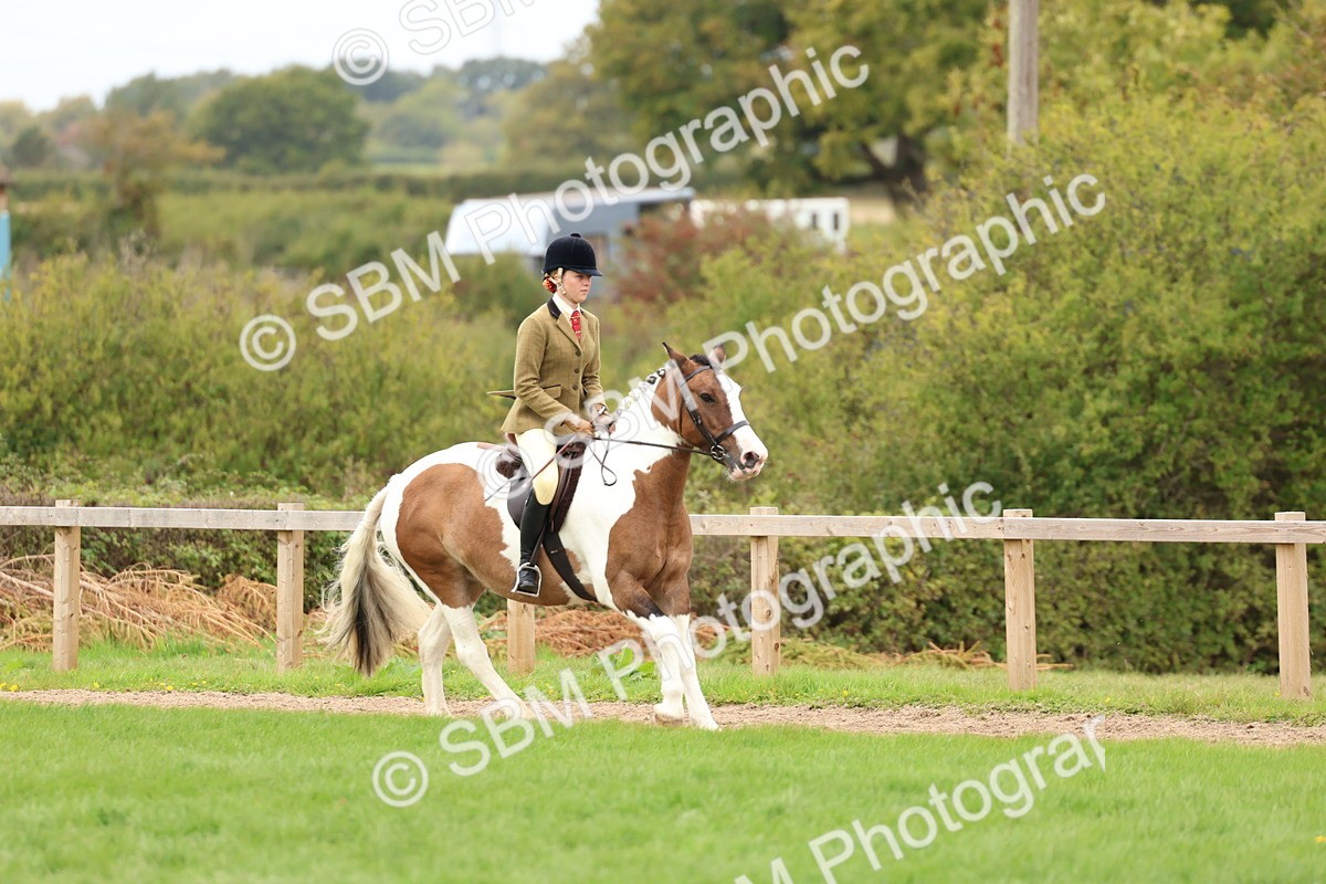 SBM_65203 - S59 - Part Bred Arab & Native Pony Ridden