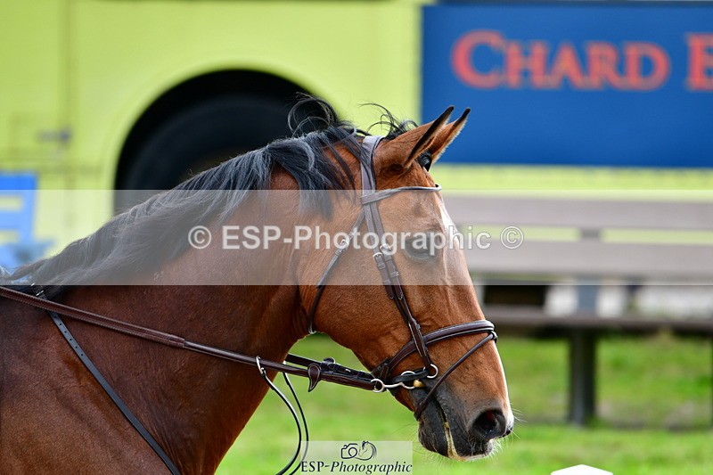 240526A-115835-07578 - Cls 31 85cm National Am Qualifier