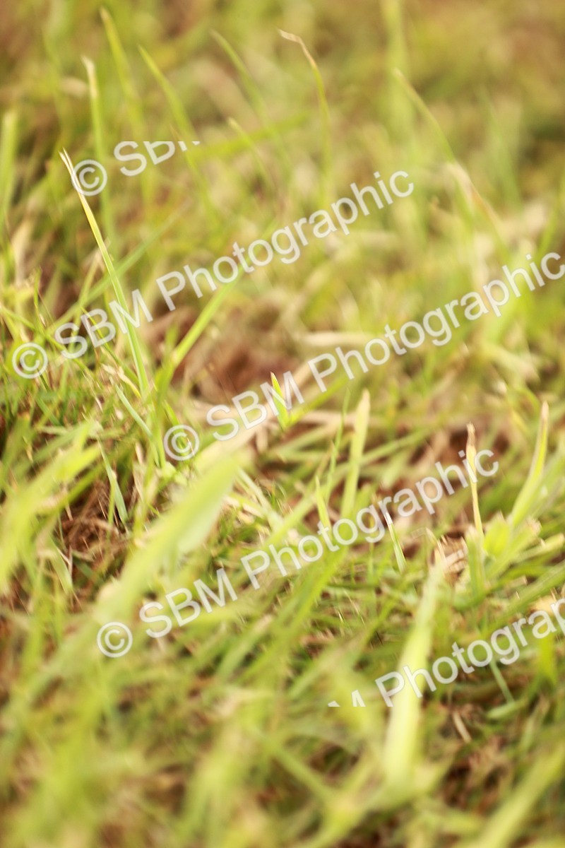 SBM_04620 - Class 5-8 - BSPA In hand