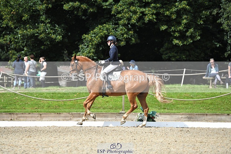 230812-112730-03632 - Cls 6 Novice Silver 10.30 to 11.55 break