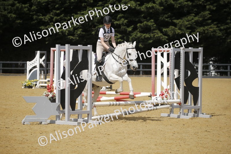 20250622-3912 - 50cm