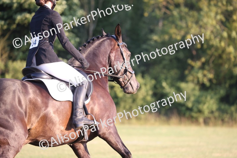 20250731-0459 - Class 3 - Novice 3