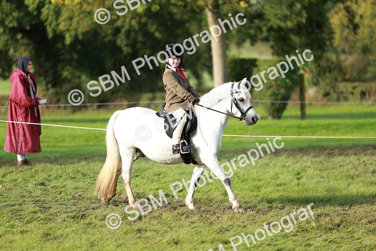 SBM_56248 - S39 - Starters In Hand Showing