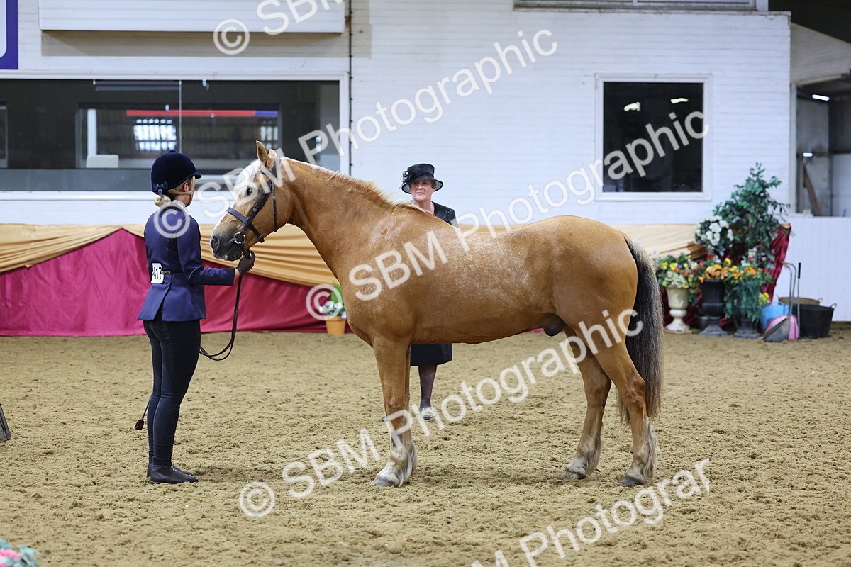 SBM_19667 - Class 901 - Supreme Final - IH Diamond