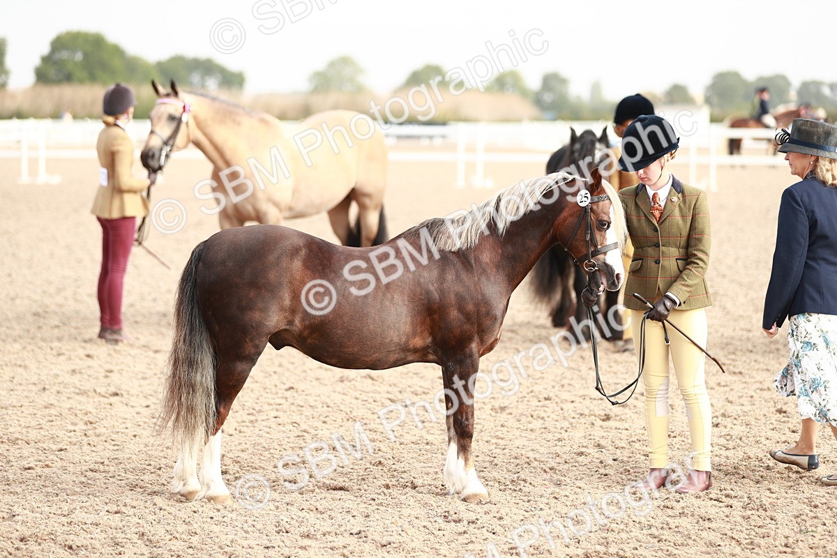 SBM_10583 - Class 204 Young Handler, 11-16 years