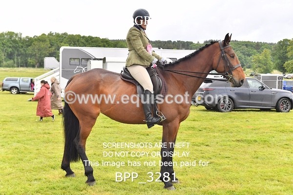 BPP_3281 - request
