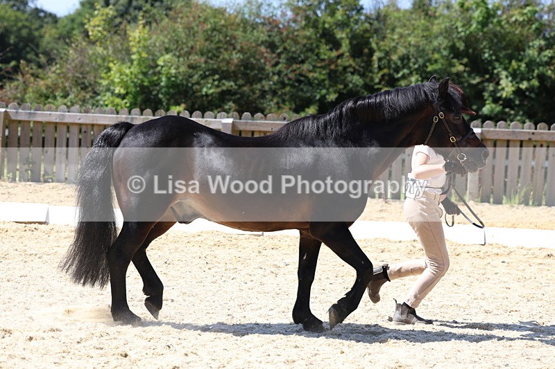 3E7A9399 - Class 29: Veteran In Hand