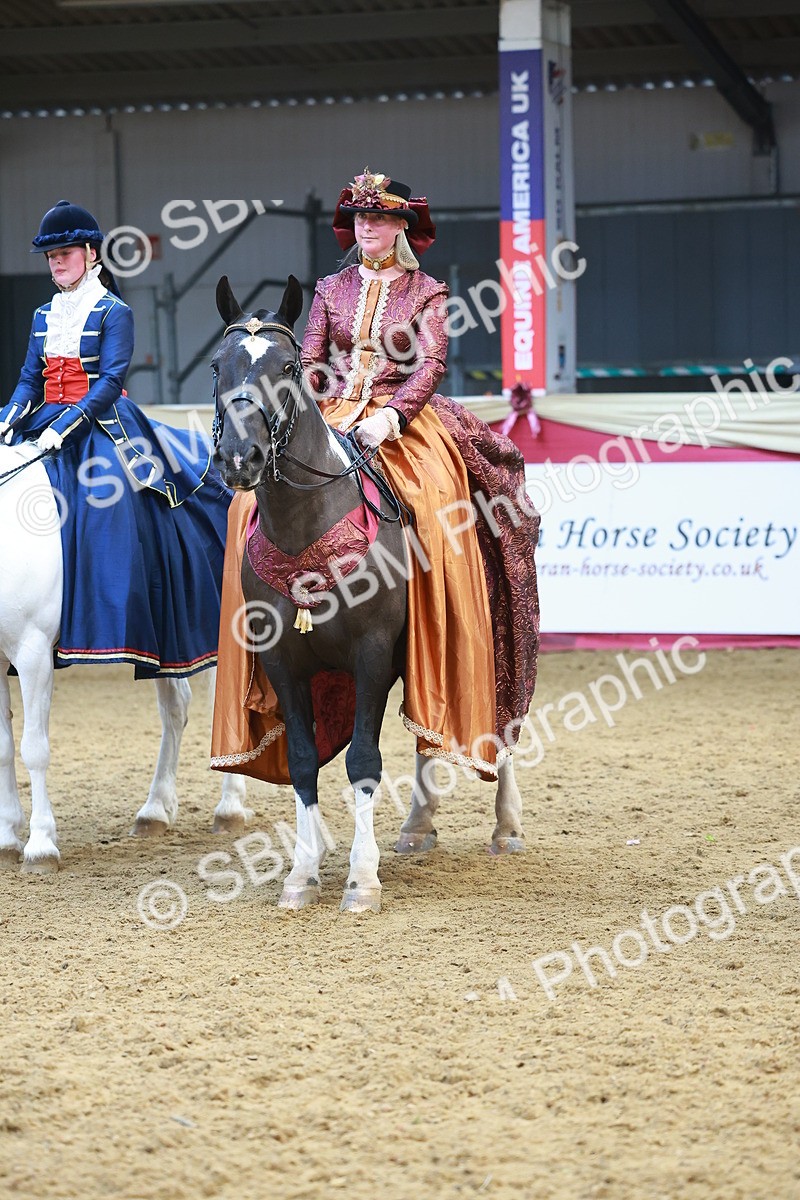 SBM_14015 - Class 107 - Ridden Costume = Astride Adult (15-19)