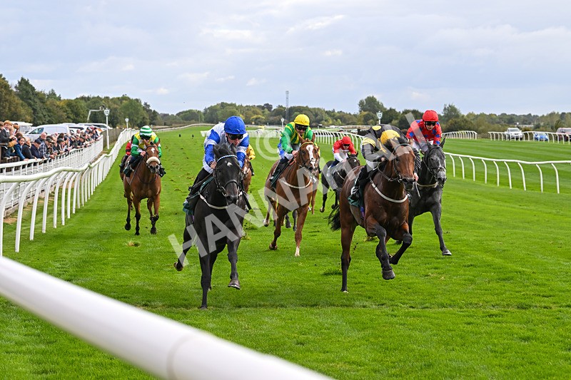 021024-Race 2-Al Hussar-9179 - Race 2