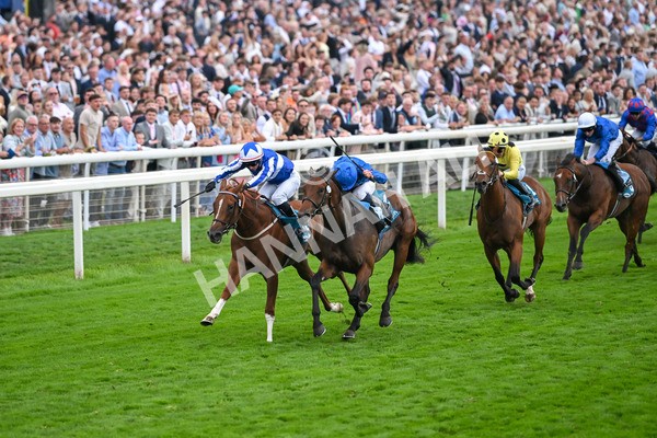 230825-Race 6-Revival Power-0819 - Race 6 4.45pm Julia Graves Roses Stakes