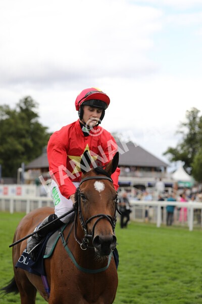 yr19082022r4-88 - Race 4 3.35pm Coolmore Wootton Bassett Nunthorpe Stakes (British Champion Series Race)