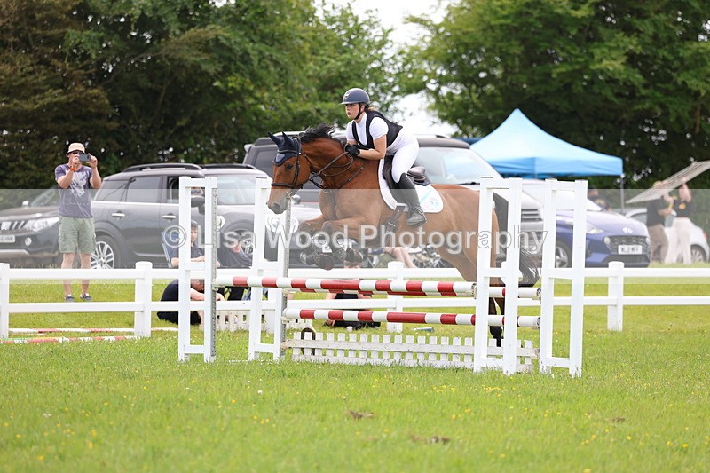 3E7A1735 - Class 13: Senior British Novice/90cm open