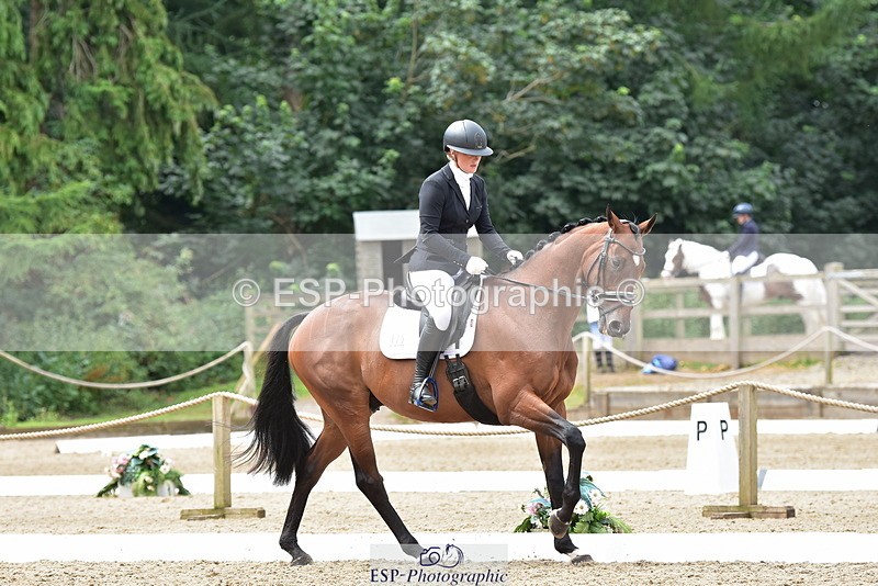 250719A-124142-05669 - 175-Louise.Hendy-Gulf.Of.Poets