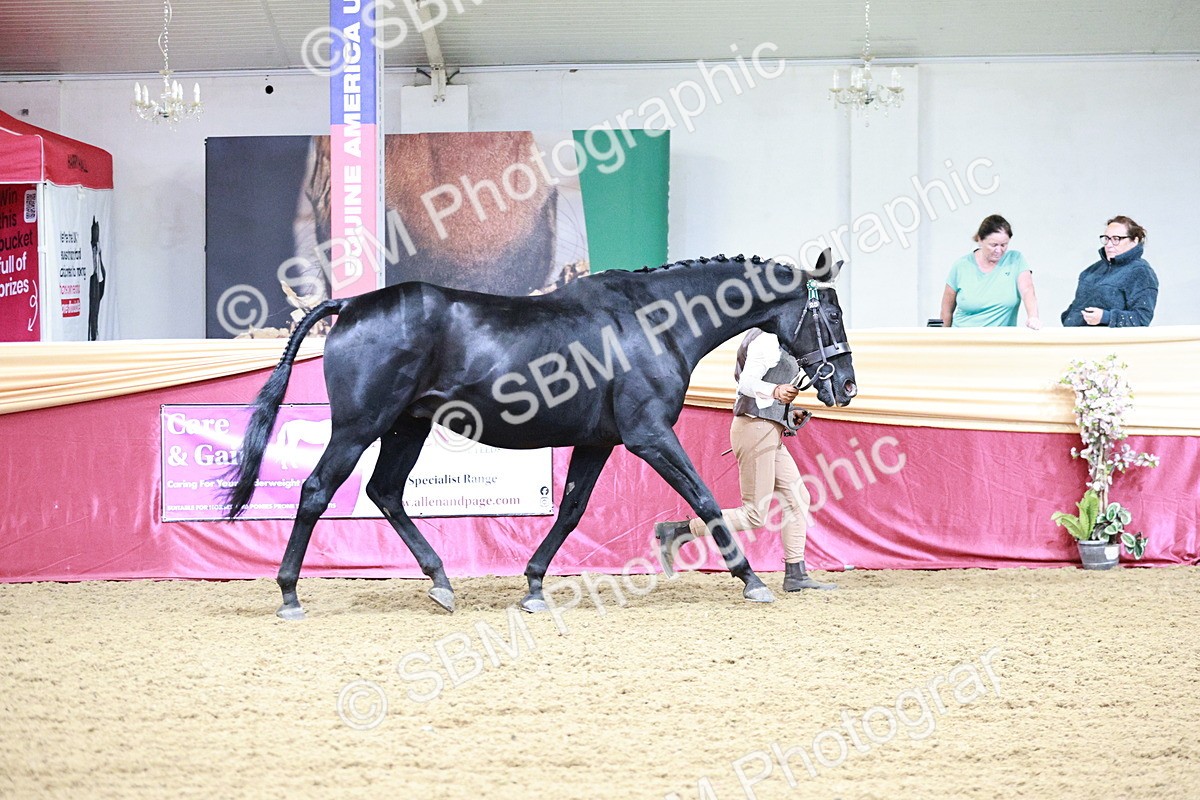 SBM_00168 - Class 1A - Area IH Diamond