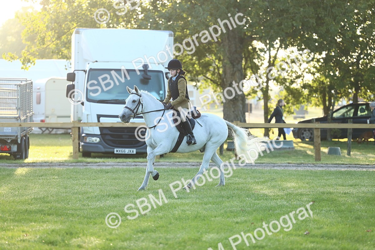 SBM_31709 - S28 - Nursery Stakes Working Hunter Pony