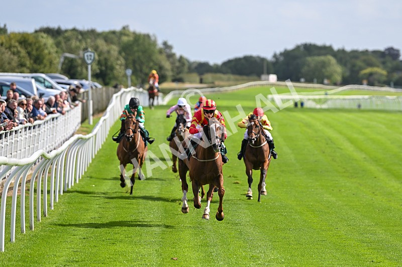 100924-Race 1-The Dancing Poet-9857 - Race 1