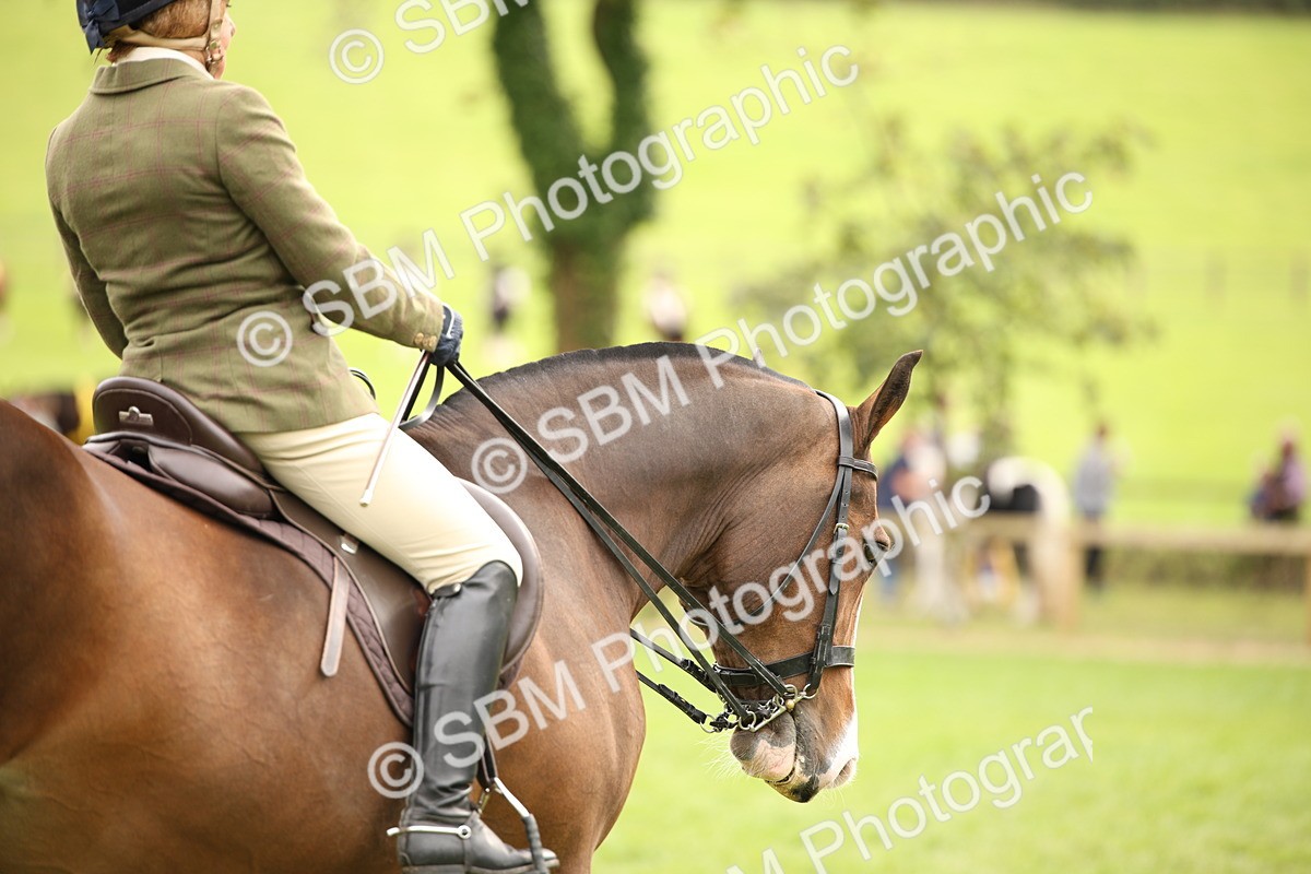 SBM_72382 - S67 - Show Cob Ridden
