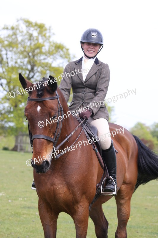 20260426-4371 - Class 34 - Best Riding Horse Over 14.2hh