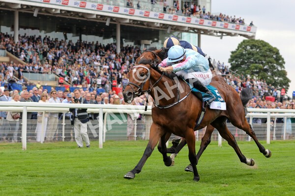 yr18082022r6-36 - Race 6 4.45 pm OR8wellness ebfstallions Nursery Handicap