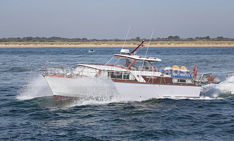 190824 SEA CHASER II - ROYAL CRUISER IV 1Y3A9282 - 190824 SEA CHASER II - ROYAL CRUISER IV