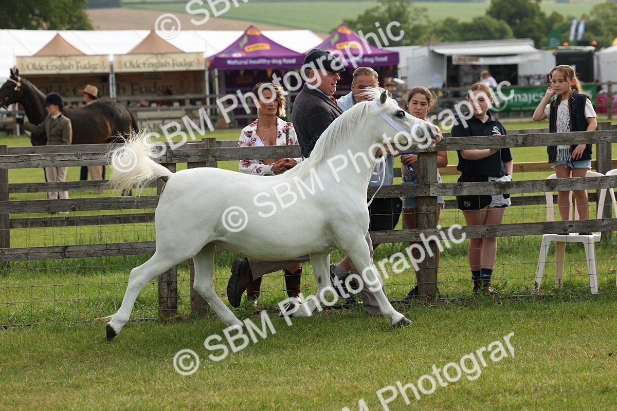 SBM_00498 - Class 6-13 - Mountatin and Moorland In Hand Welsh Breeds