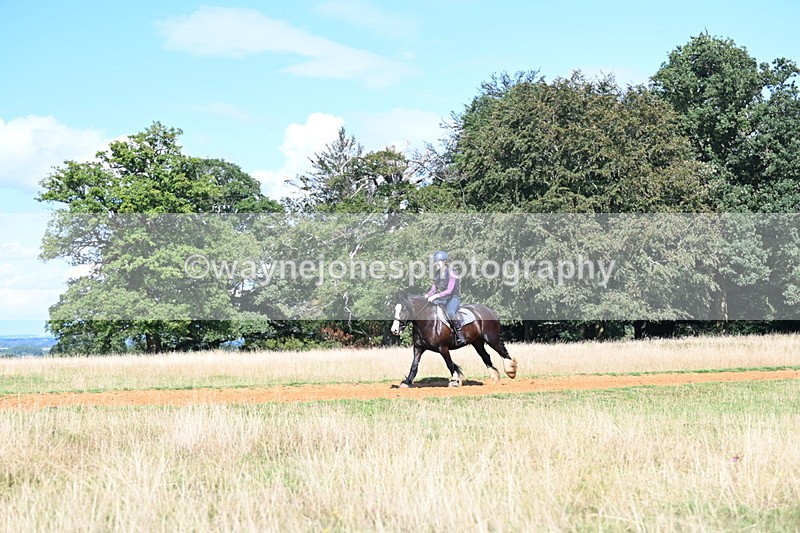 DSC_0114 - Time at Statue 15:58 to 16:05