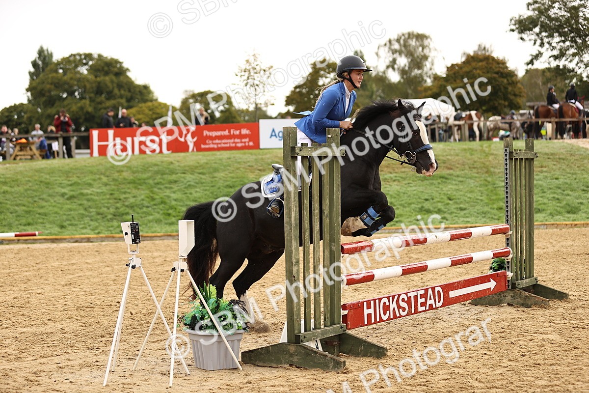 SBM_58254 - J41 - Grand Tour Horse & Pony 95cm