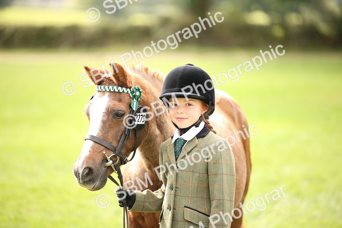 SBM_46371 - S25 - Mature Veteran In Hand