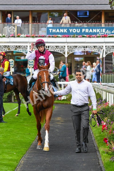 230823-Race 7-Zoulu Chief-0983 - Race 7 5.20pm Sky Bet Nursery Handicap