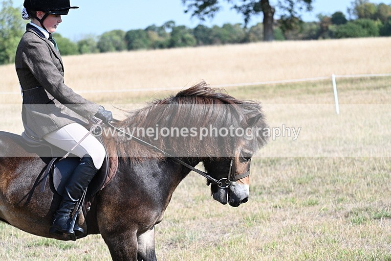 WJ7_2940 - Class 8 Ridden Tack & Turnout
