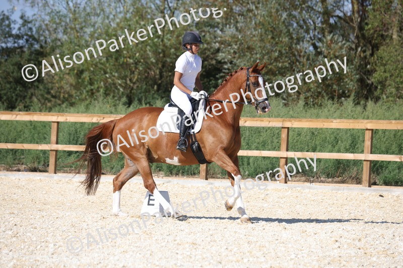 20260905-1540 - Class 5 - Novice 2