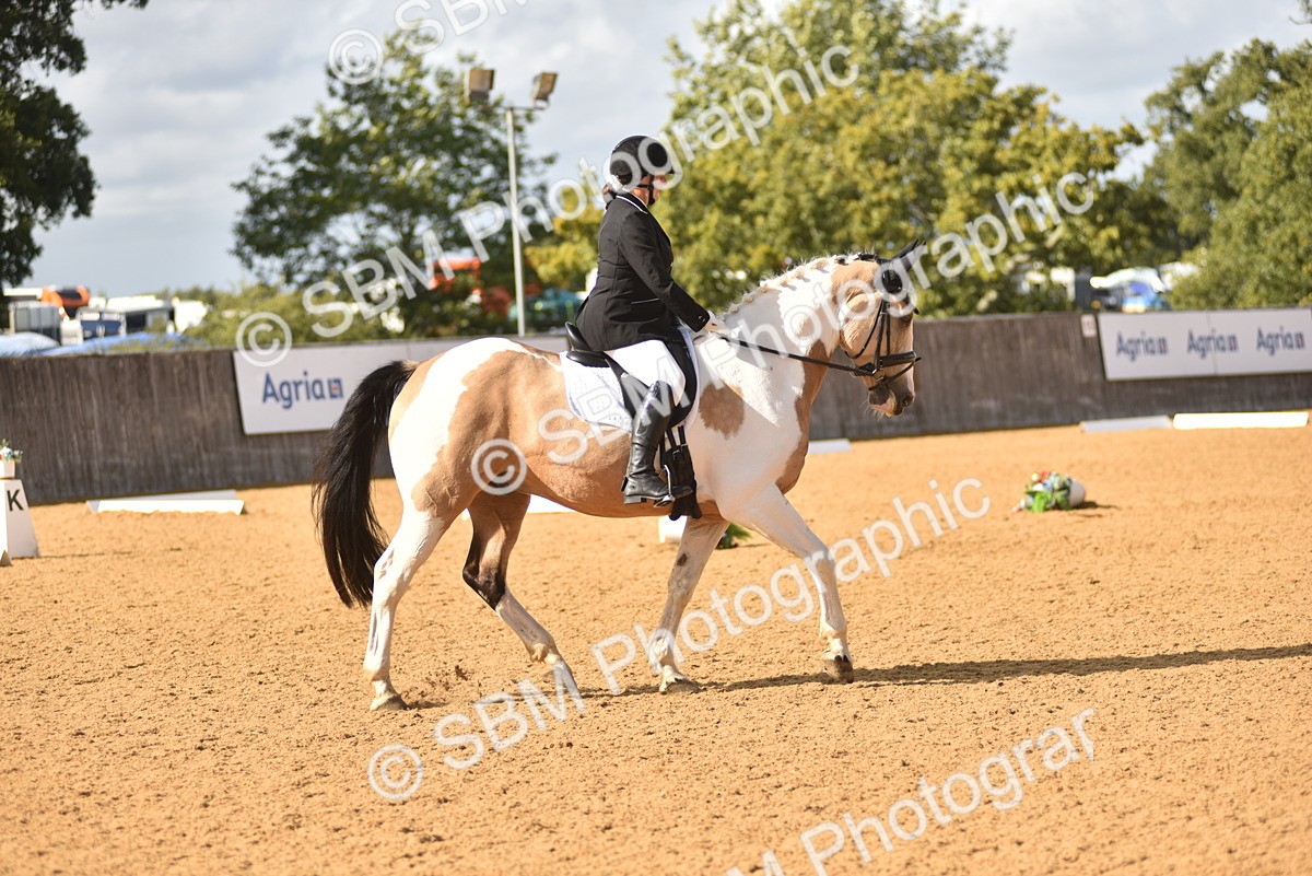 SBM_24345 - D4 - Small Tour Championship Intro 4