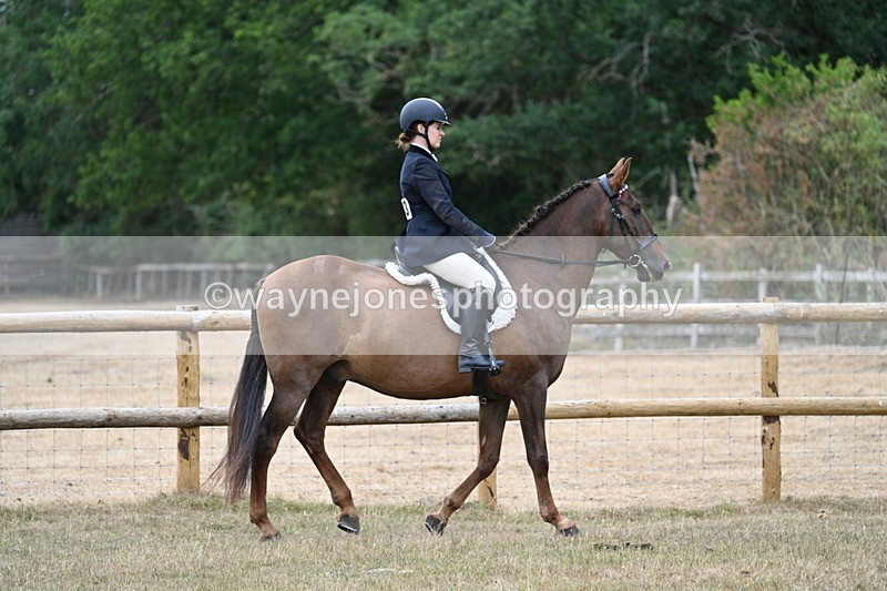 WJ7_0747 - Class 7 Riding Club Show Horse