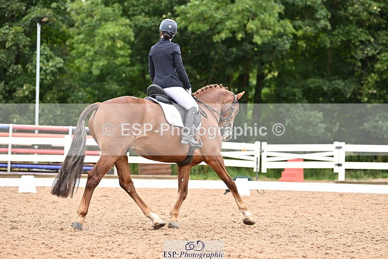 240817A-152106-10067 - 223-Pippa.Knight-KFS.Boston.Burglar