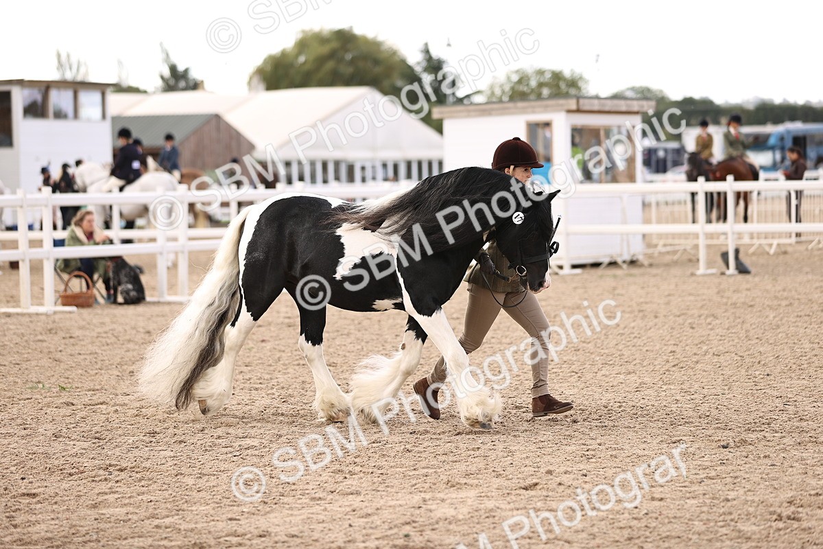 SBM_09311 - Class 404 - IH Traditional - Native Cob