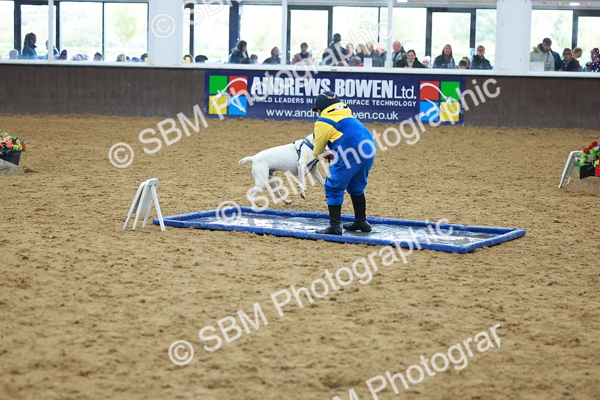 SBM_002295 - Class 3 - Horse & Hound (60cm)