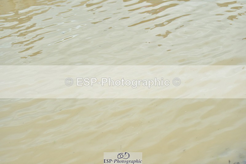 230803A-150830-01132 - Bernie's Group Ride