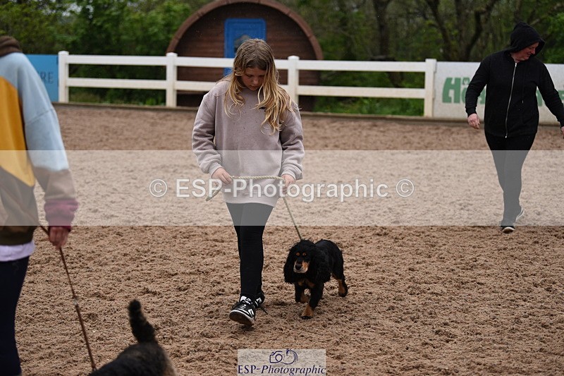 240518A-124642-01186 - Cls 5 Best Purebred