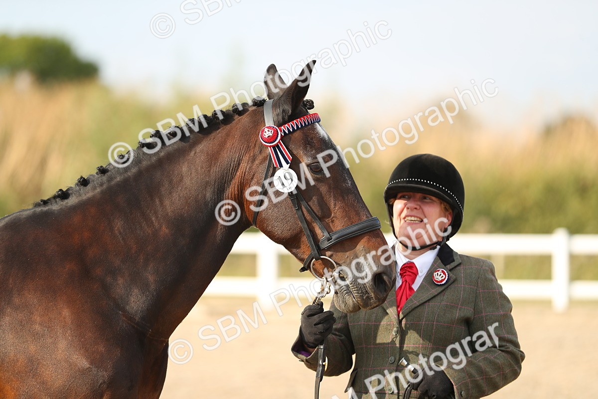 SBM_08596 - Class 28 - IH Veteran Horse