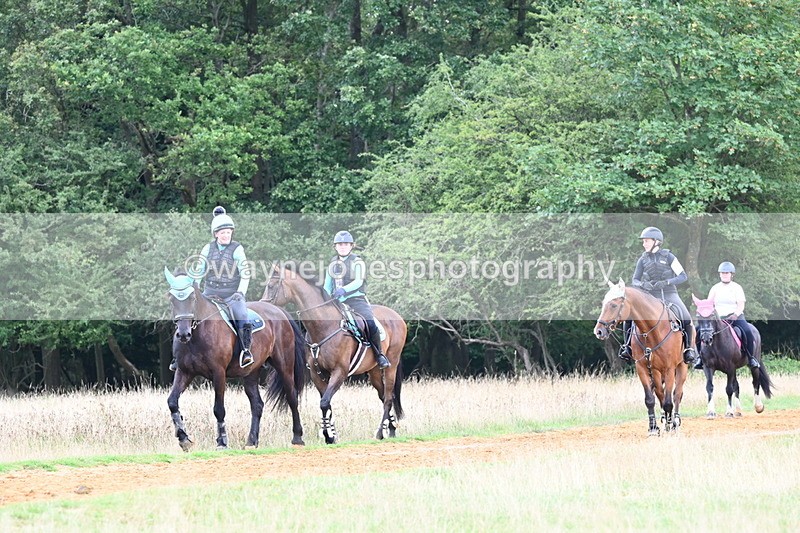 DSC_6701 - Time at Statue 12:45 to 13:15