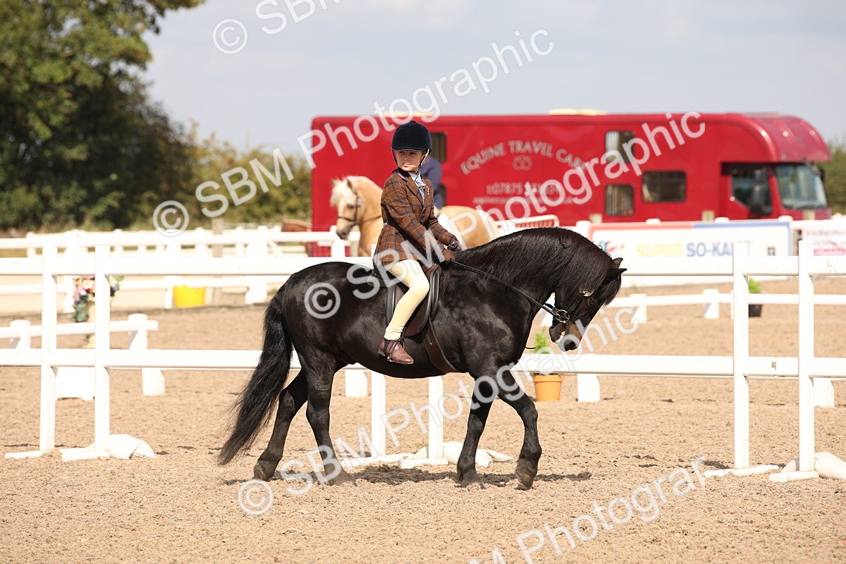 SBM_03735 - Class 19 Judge's Favourite