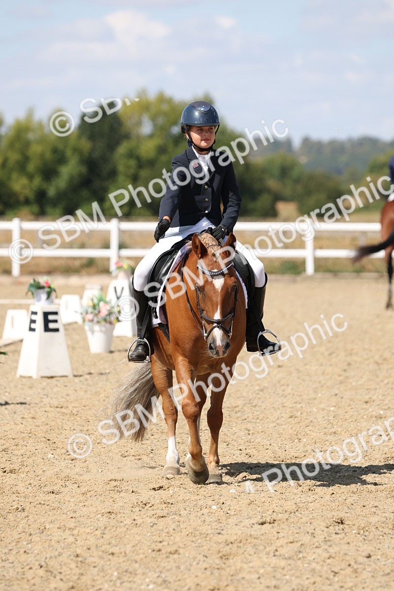 SBM_013752 - Class 1 - P5 Bronze 10.38.12.02