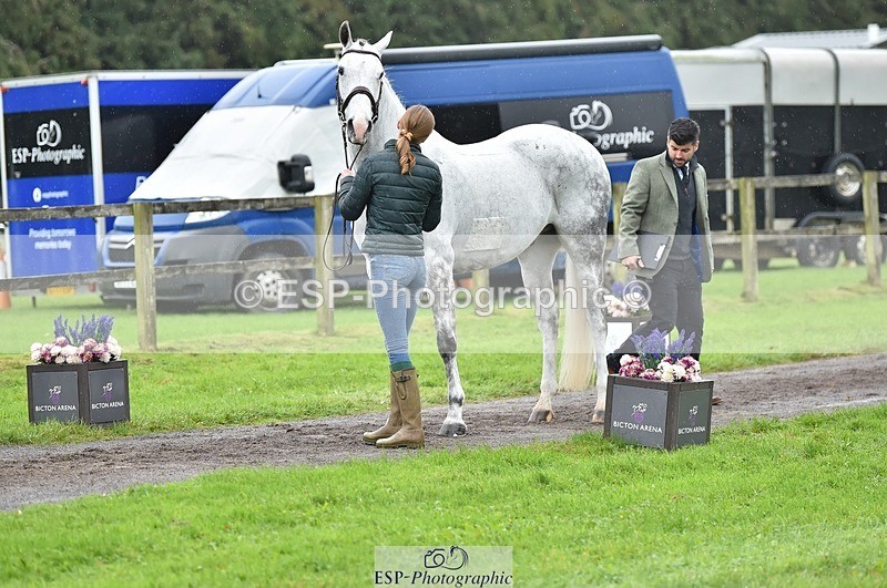 231018-124516-00495 - 061-SAYS.ALL-Maisie.Morgan-TrotUp