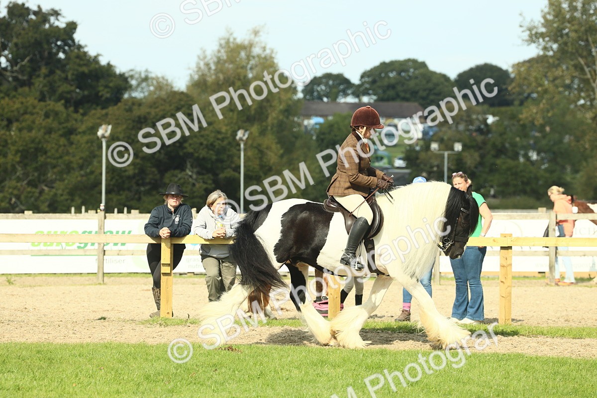 SBM_68782 - S58 - Mini Show Cob Ridden