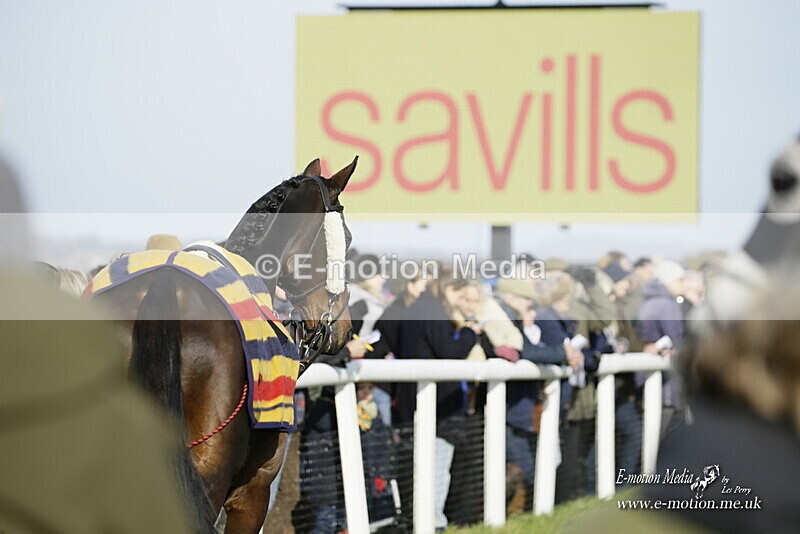 PtP 250921 0347 - Point-to-Point Badbury Rings Dorset 07/11/2021