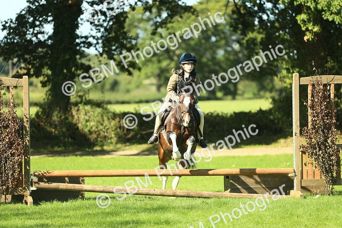 SBM_37531 - S29 - Novice & Newcomers Working Hunter Pony
