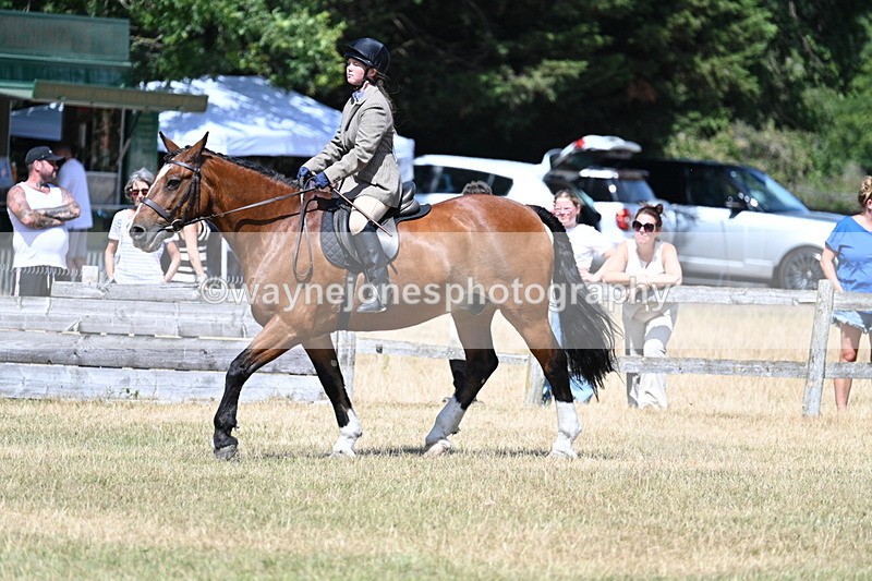 WJ7_3499 - Class 8 Ridden Veterans