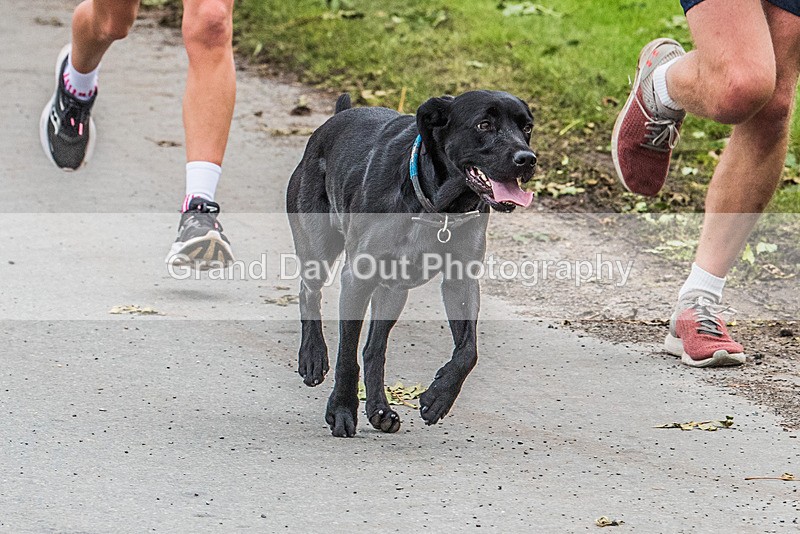 Acorn bank-265 - Acorn Bank 10K Road Race Sunday 17th September 2023
