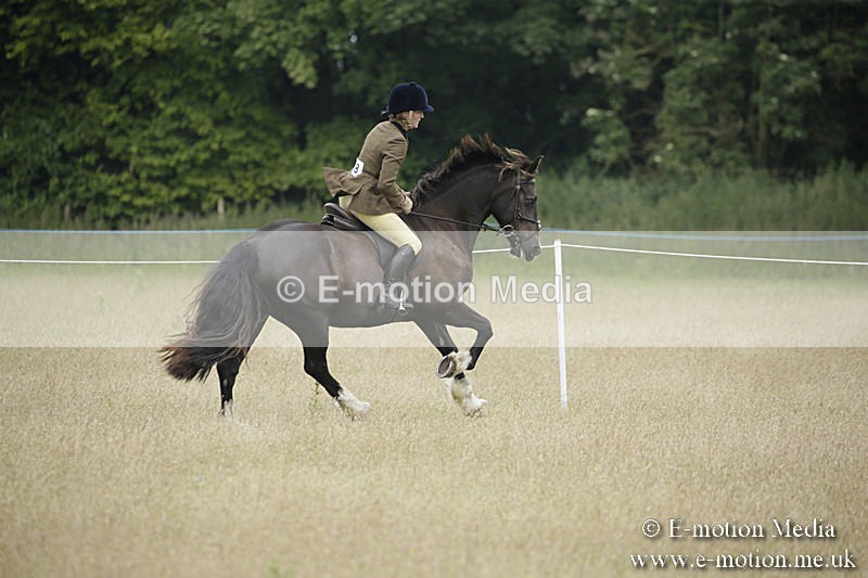 B230619-0720 - Bourne Valley Riding Club Summer Show 23/06/19