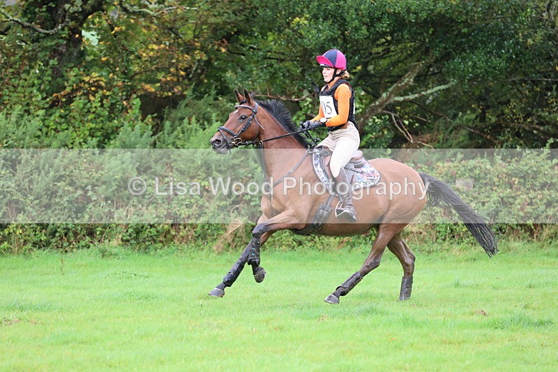 JPP_5464 - Class 5: 90cm Crossed Logs